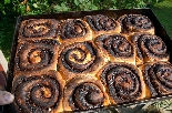 Kakas csiga